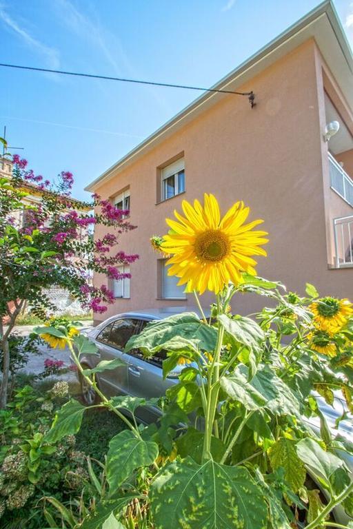 Apartman Nena Crikvenica Exterior foto